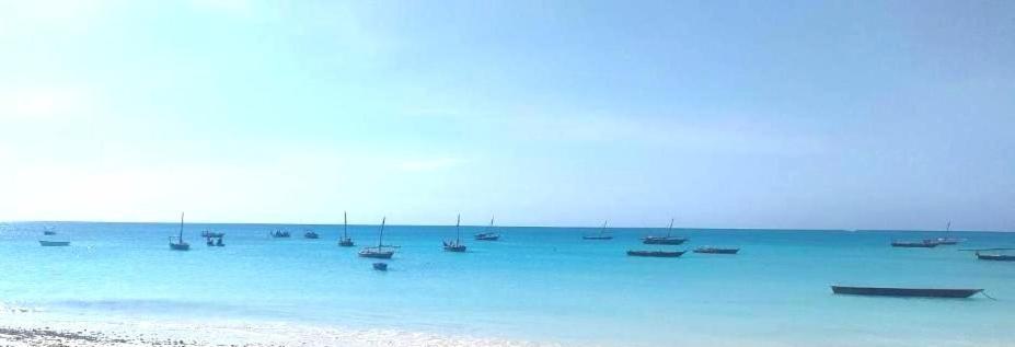 Mambo Boutique Nungwi Hotel ภายนอก รูปภาพ