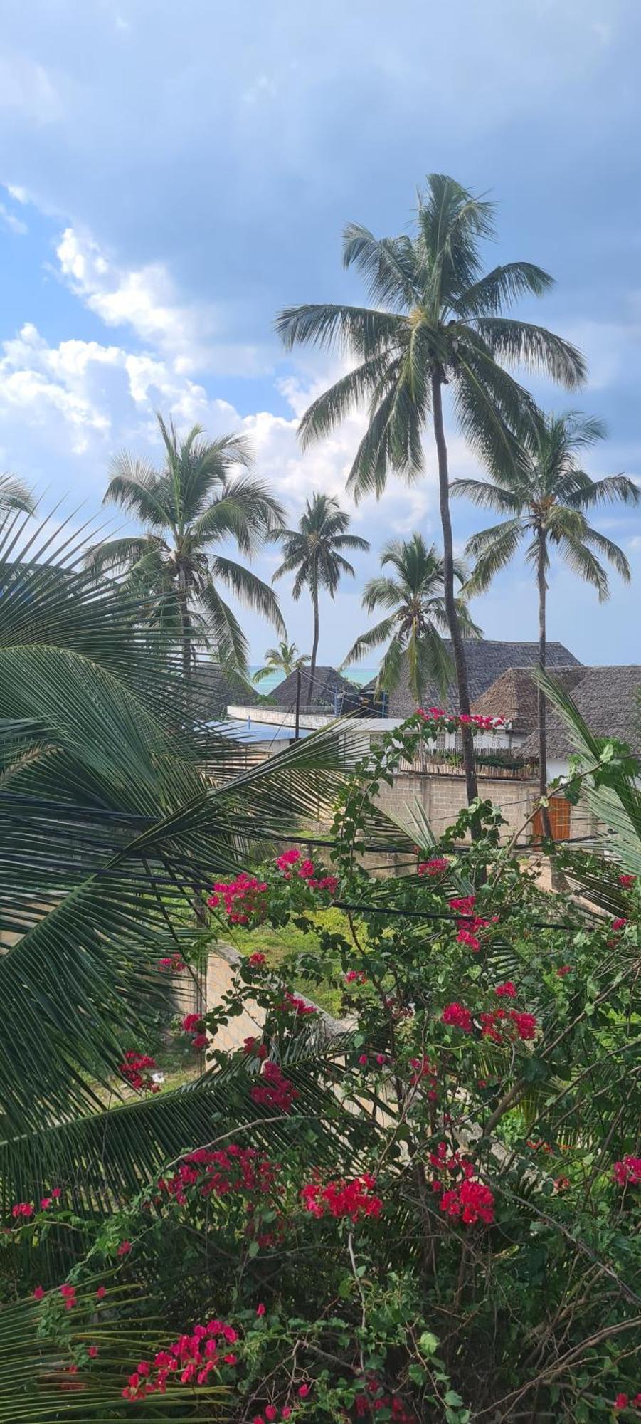 Mambo Boutique Nungwi Hotel ภายนอก รูปภาพ